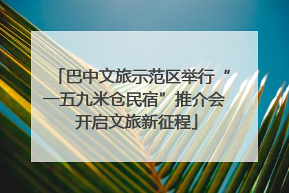 巴中文旅示范区举行“一五九米仓民宿”推介会 开启文旅新征程