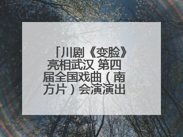 川剧《变脸》亮相武汉 第四届全国戏曲（南方片）会演演出过半频掀热潮