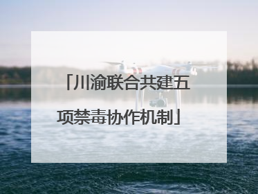 川渝联合共建五项禁毒协作机制