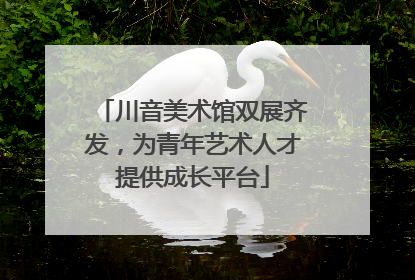 川音美术馆双展齐发，为青年艺术人才提供成长平台