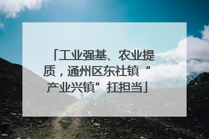 工业强基、农业提质，通州区东社镇“产业兴镇”扛担当