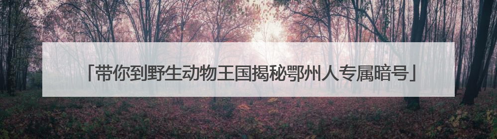 带你到野生动物王国揭秘鄂州人专属暗号