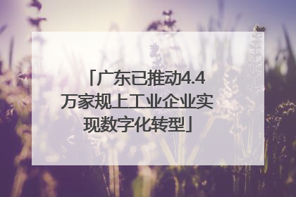广东已推动4.4万家规上工业企业实现数字化转型