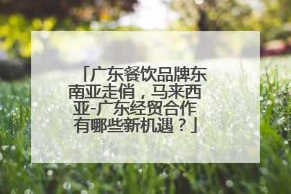 广东餐饮品牌东南亚走俏，马来西亚-广东经贸合作有哪些新机遇？