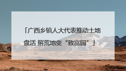 广西乡镇人大代表推动土地盘活 撂荒地变“致富园”