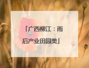 广西柳江：雨后产业田园美