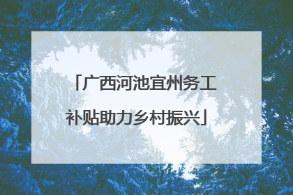 广西河池宜州务工补贴助力乡村振兴