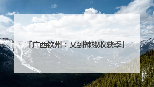 广西钦州：又到辣椒收获季