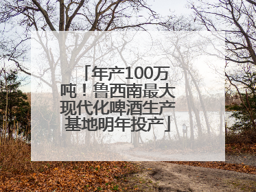 年产100万吨！鲁西南最大现代化啤酒生产基地明年投产