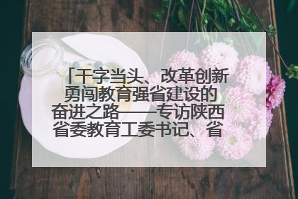干字当头、改革创新 勇闯教育强省建设的奋进之路——专访陕西省委教育工委书记、省教育厅厅长王树声