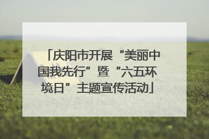 庆阳市开展“美丽中国我先行”暨“六五环境日”主题宣传活动