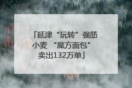 延津“玩转”强筋小麦 “魔方面包”卖出132万单
