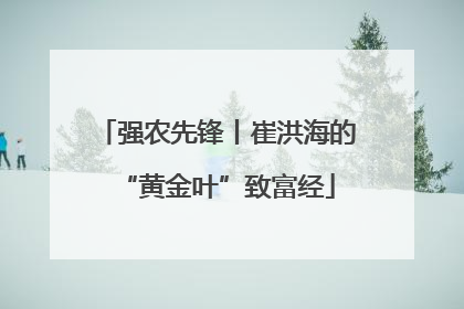 强农先锋丨崔洪海的“黄金叶”致富经