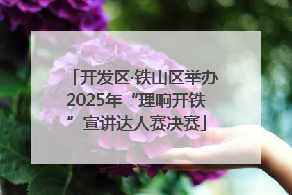 开发区·铁山区举办2025年“理响开铁”宣讲达人赛决赛