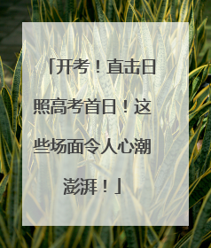 开考！直击日照高考首日！这些场面令人心潮澎湃！