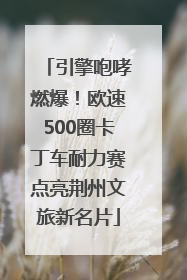 引擎咆哮燃爆！欧速500圈卡丁车耐力赛点亮荆州文旅新名片