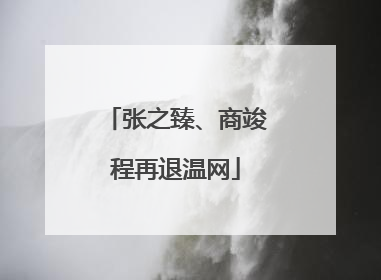 张之臻、商竣程再退温网