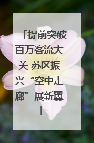 提前突破百万客流大关 苏区振兴“空中走廊”展新翼