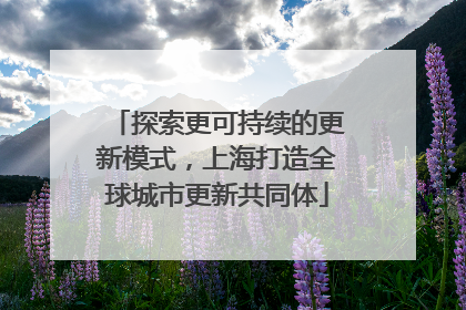 探索更可持续的更新模式，上海打造全球城市更新共同体