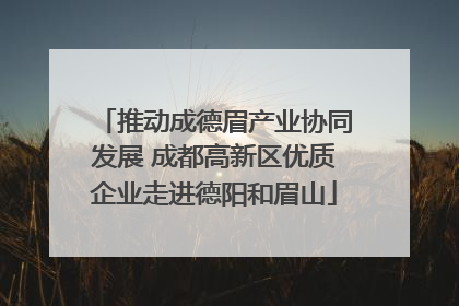 推动成德眉产业协同发展 成都高新区优质企业走进德阳和眉山