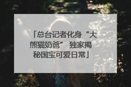 总台记者化身“大熊猫奶爸” 独家揭秘国宝可爱日常