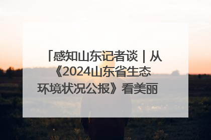 感知山东记者谈｜从《2024山东省生态环境状况公报》看美丽山东建设的“成绩单”与“任务书”