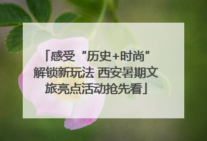感受“历史+时尚” 解锁新玩法 西安暑期文旅亮点活动抢先看