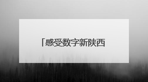 感受数字新陕西 体验文化新消费