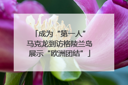 成为“第一人” 马克龙到访格陵兰岛展示“欧洲团结”
