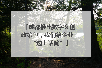 成都推出数字文创政策包，我们给企业“递上话筒”