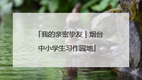 我的亲密挚友｜烟台中小学生习作园地