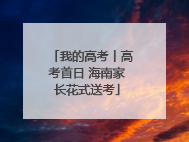 我的高考丨高考首日 海南家长花式送考