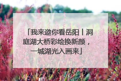 我来邀你看岳阳丨洞庭湖大桥彩绘换新颜，一城湖光入画来