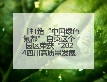 打造“中国绿色氟都” 自贡这个园区荣获“2024四川高质量发展产业园区”称号丨致敬2024经济影响力人物