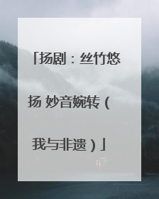 扬剧：丝竹悠扬 妙音婉转（我与非遗）