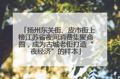 扬州东关街、皮市街上榜江苏省夜间消费集聚商圈，成为古城老街打造“夜经济”的样本