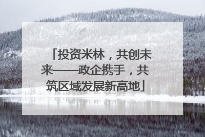 投资米林，共创未来——政企携手，共筑区域发展新高地