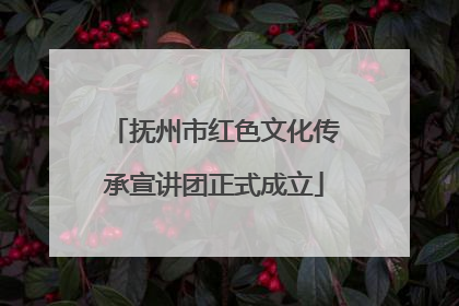 抚州市红色文化传承宣讲团正式成立
