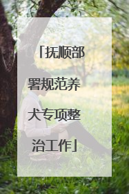 抚顺部署规范养犬专项整治工作