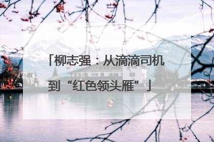 柳志强：从滴滴司机到“红色领头雁”