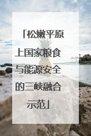 松嫩平原上国家粮食与能源安全的三峡融合示范