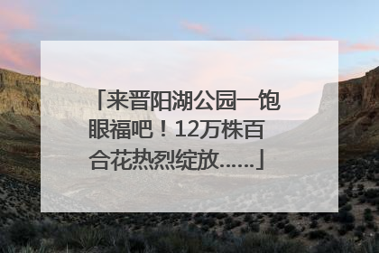 来晋阳湖公园一饱眼福吧！12万株百合花热烈绽放……