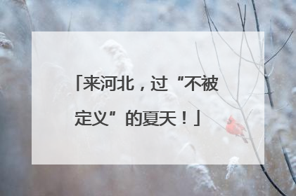 来河北，过“不被定义”的夏天！