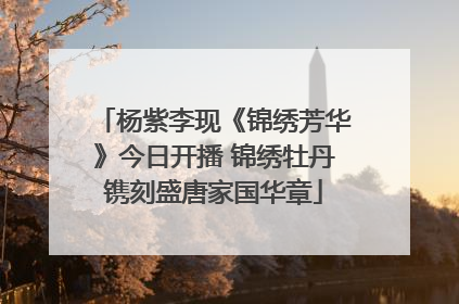 杨紫李现《锦绣芳华》今日开播 锦绣牡丹镌刻盛唐家国华章