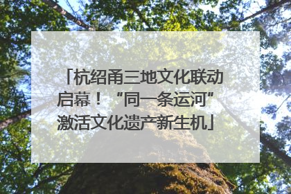 杭绍甬三地文化联动启幕！“同一条运河”激活文化遗产新生机