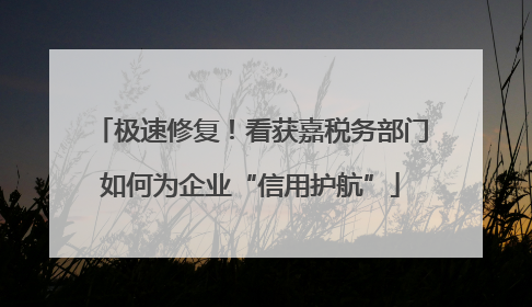 极速修复！看获嘉税务部门如何为企业“信用护航”