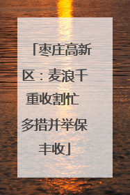 枣庄高新区：麦浪千重收割忙 多措并举保丰收