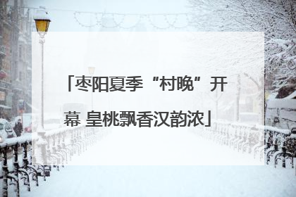 枣阳夏季“村晚”开幕 皇桃飘香汉韵浓
