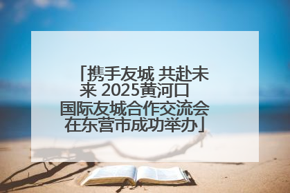 携手友城 共赴未来 2025黄河口国际友城合作交流会在东营市成功举办