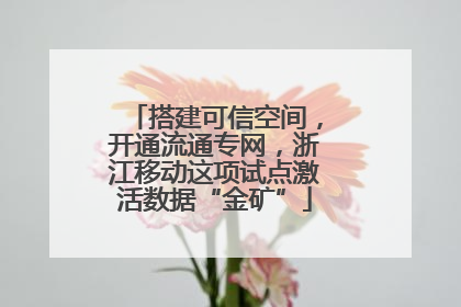 搭建可信空间，开通流通专网，浙江移动这项试点激活数据“金矿”